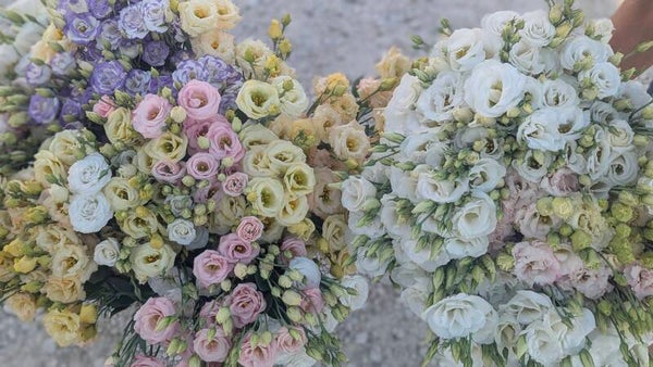 Bouquet de fleurs coupées Lisianthus