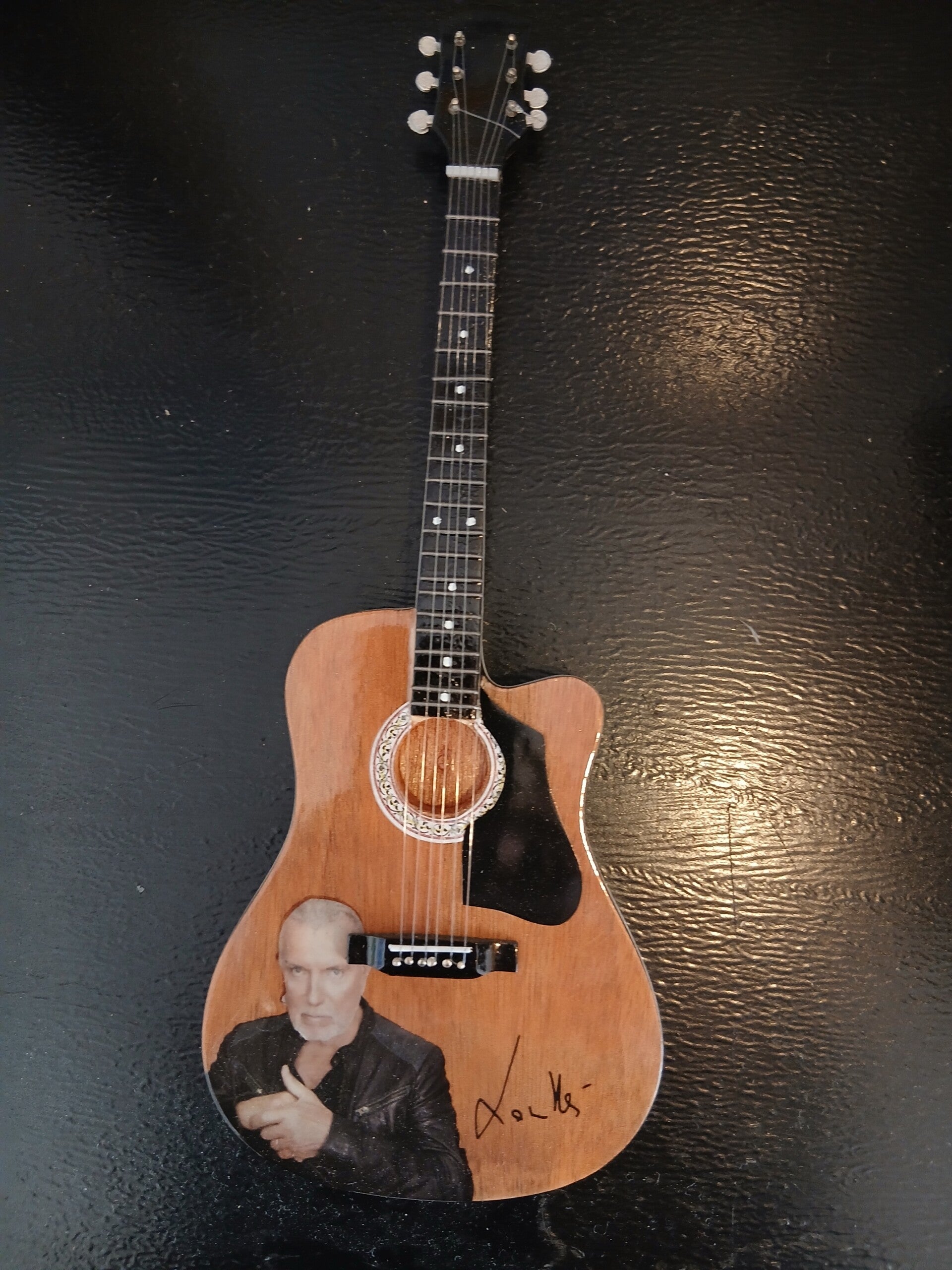Guitare Bernard Lavilliers