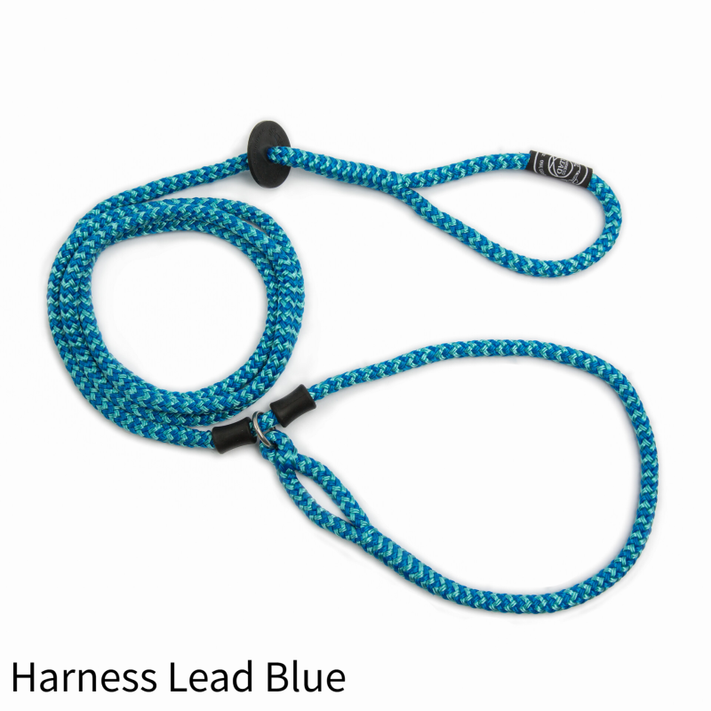 Harness Lead Blue