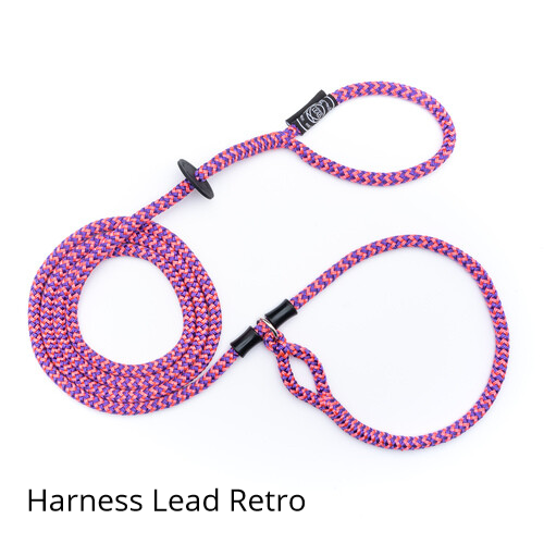 Harness Lead Pink