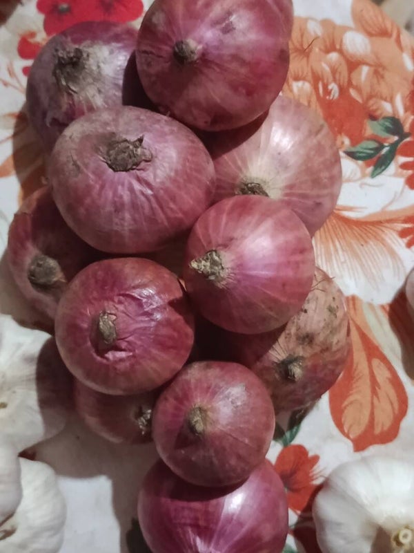 Oignons