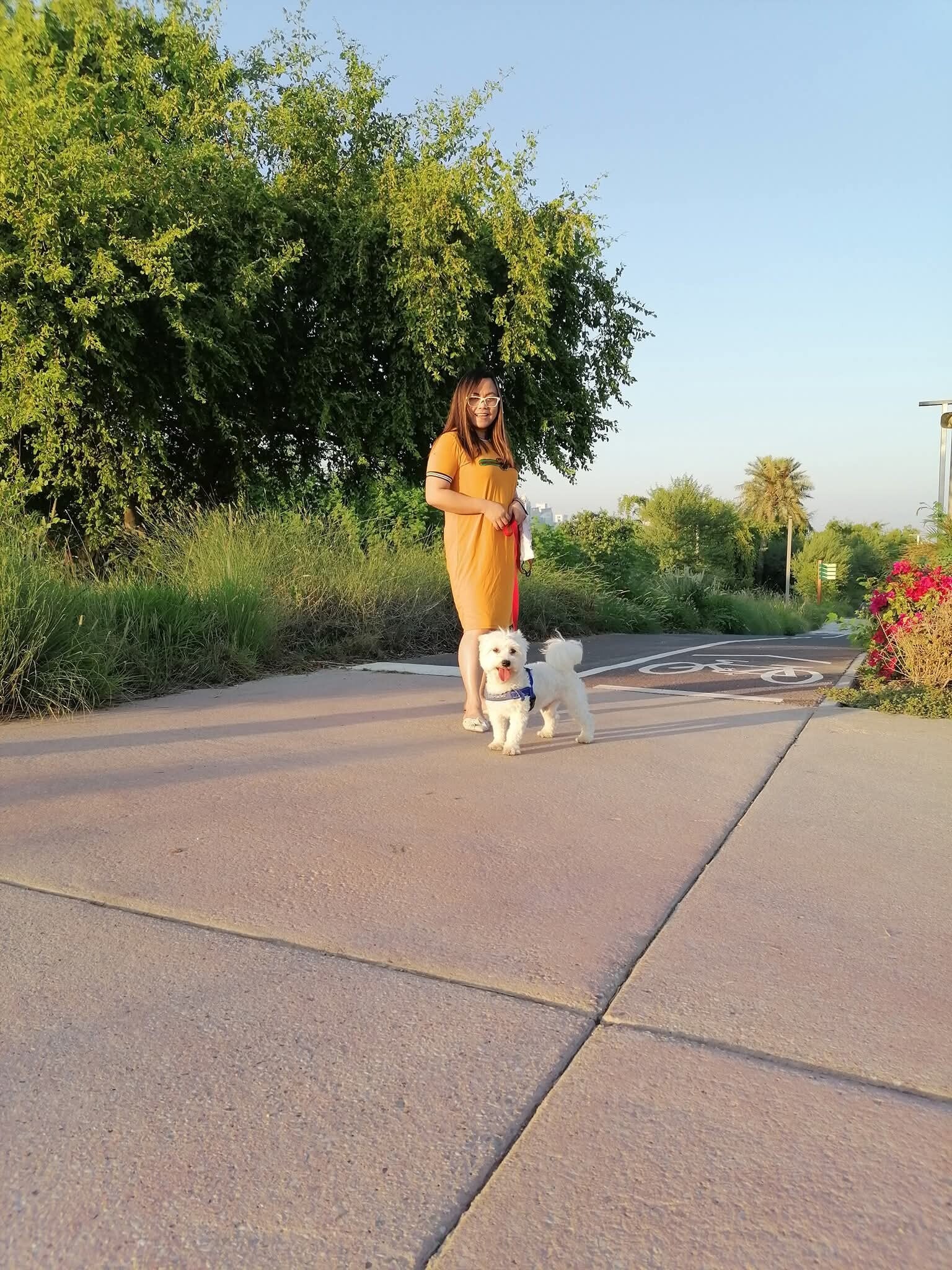 fb_img_1785544377107-standard.jpg