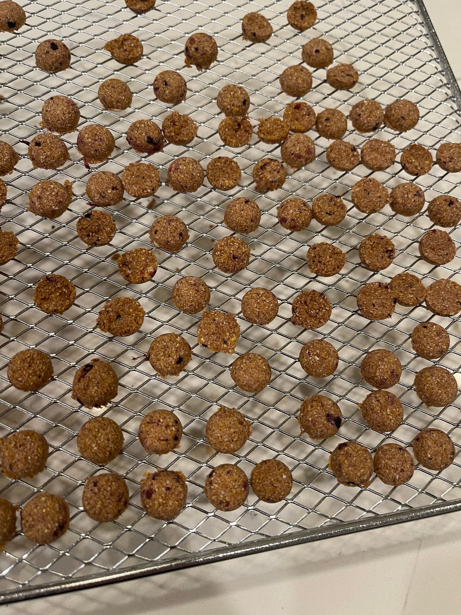 Leo's Coconut Bites (Dog Treat)