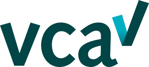 vca-standard.webp