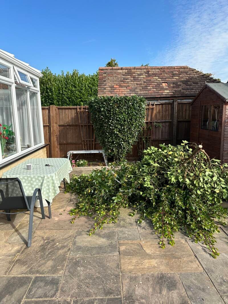 Bay tree reduction completed