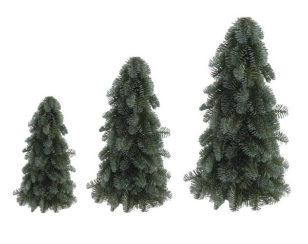 Nobilis kerstboompjes