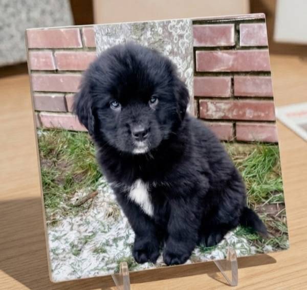 Gepersonaliseerd tegeltje (eiegen ontwerp)