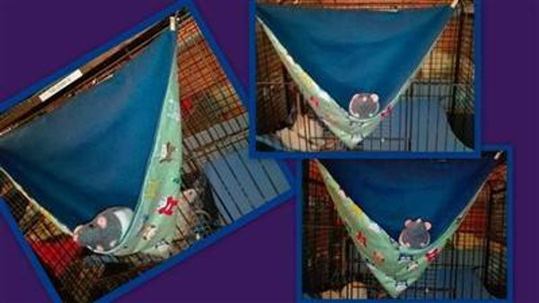 #De capuchon wand hangmat.