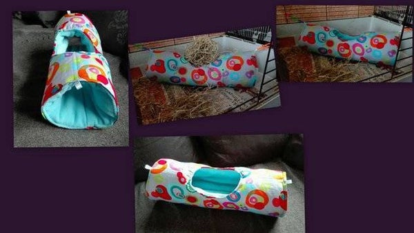 #Doorkruiptunnel cavia