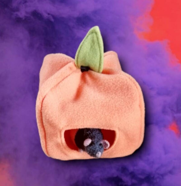 Pompoen