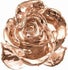 Couture Crown Jewel Med Spa
