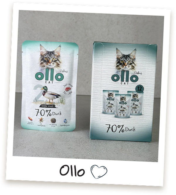 12x85g Ollo Duck