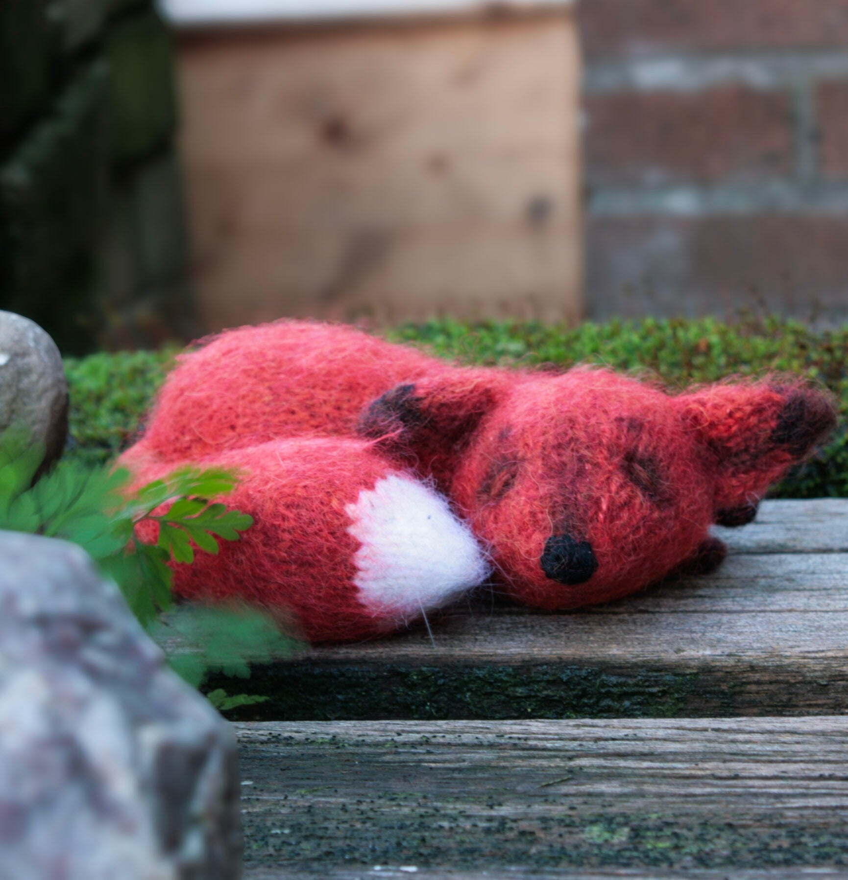 Sleeping Fox Cub
