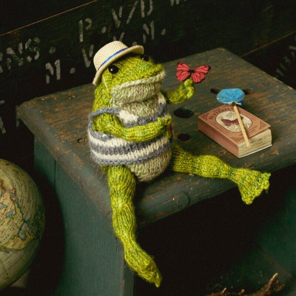 Joop  the Toad