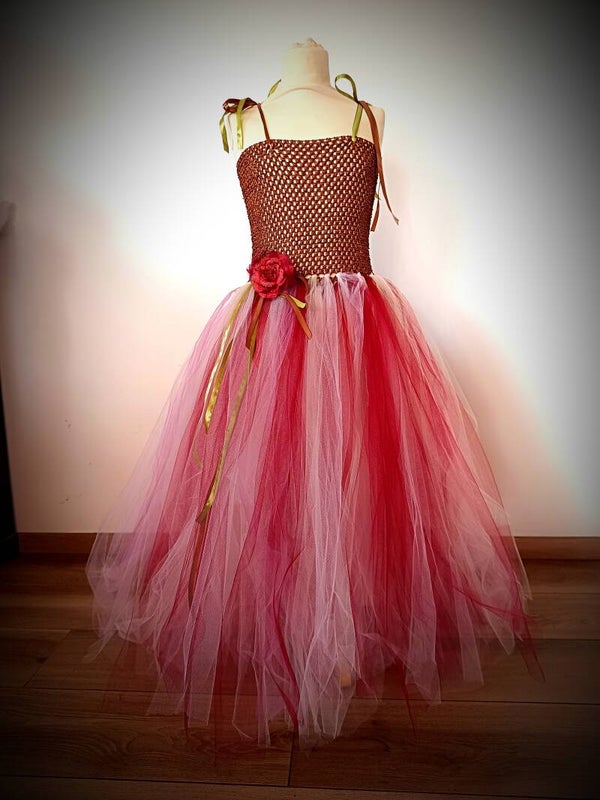 Robe tutu princesse 10/12 ans