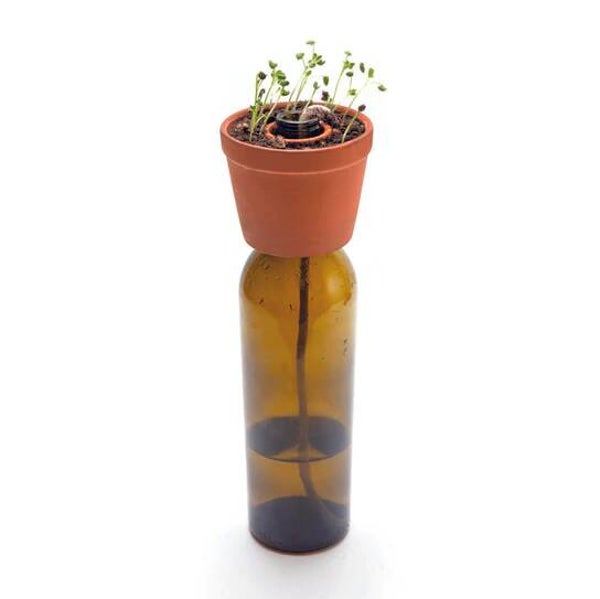 Bloemen/planten - Bottle Planter