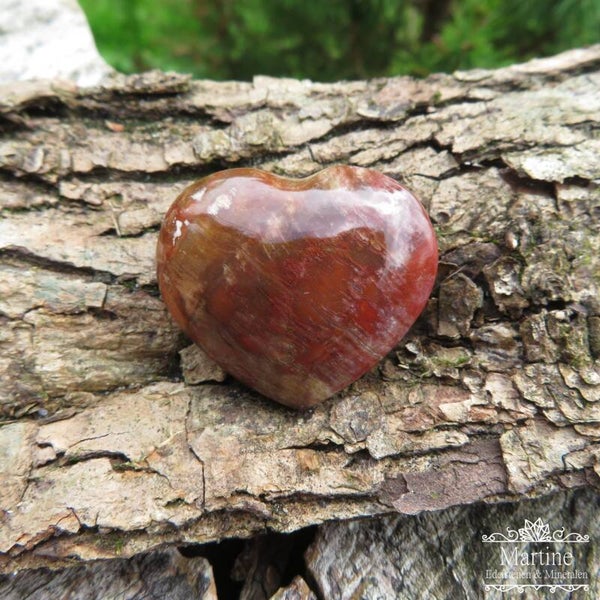 Versteend hout hart 3 cm