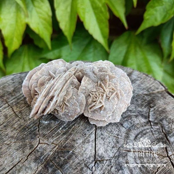 Woestijnroos / zandroos nr.10