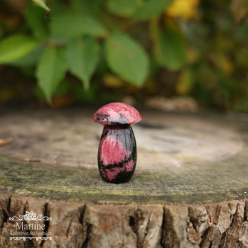 Rhodoniet paddenstoel