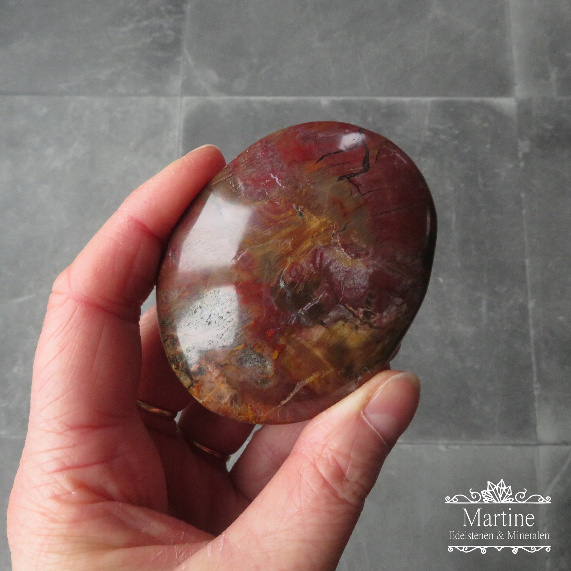 Versteend hout, palmsteen / oplegsteen