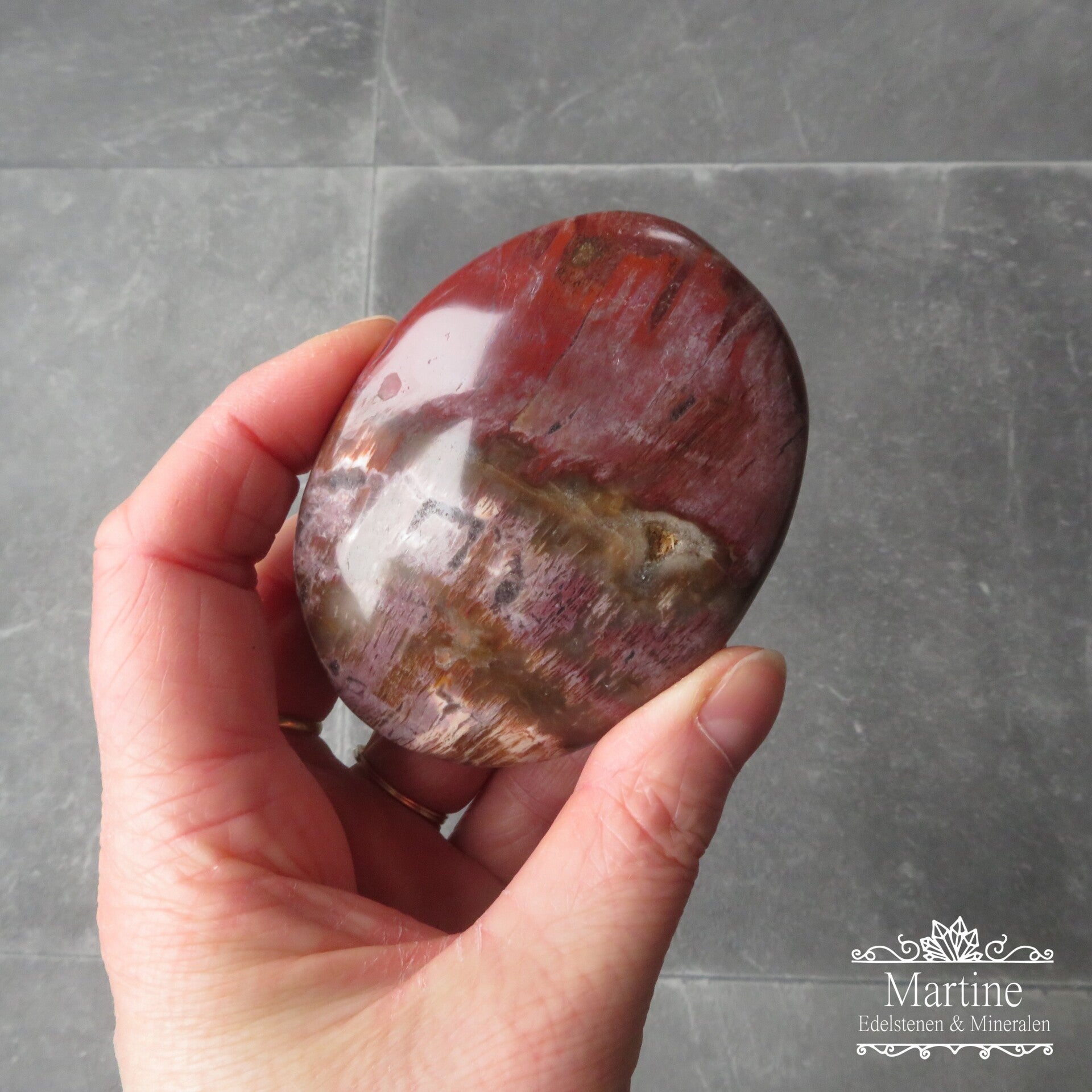 Versteend hout, palmsteen / oplegsteen