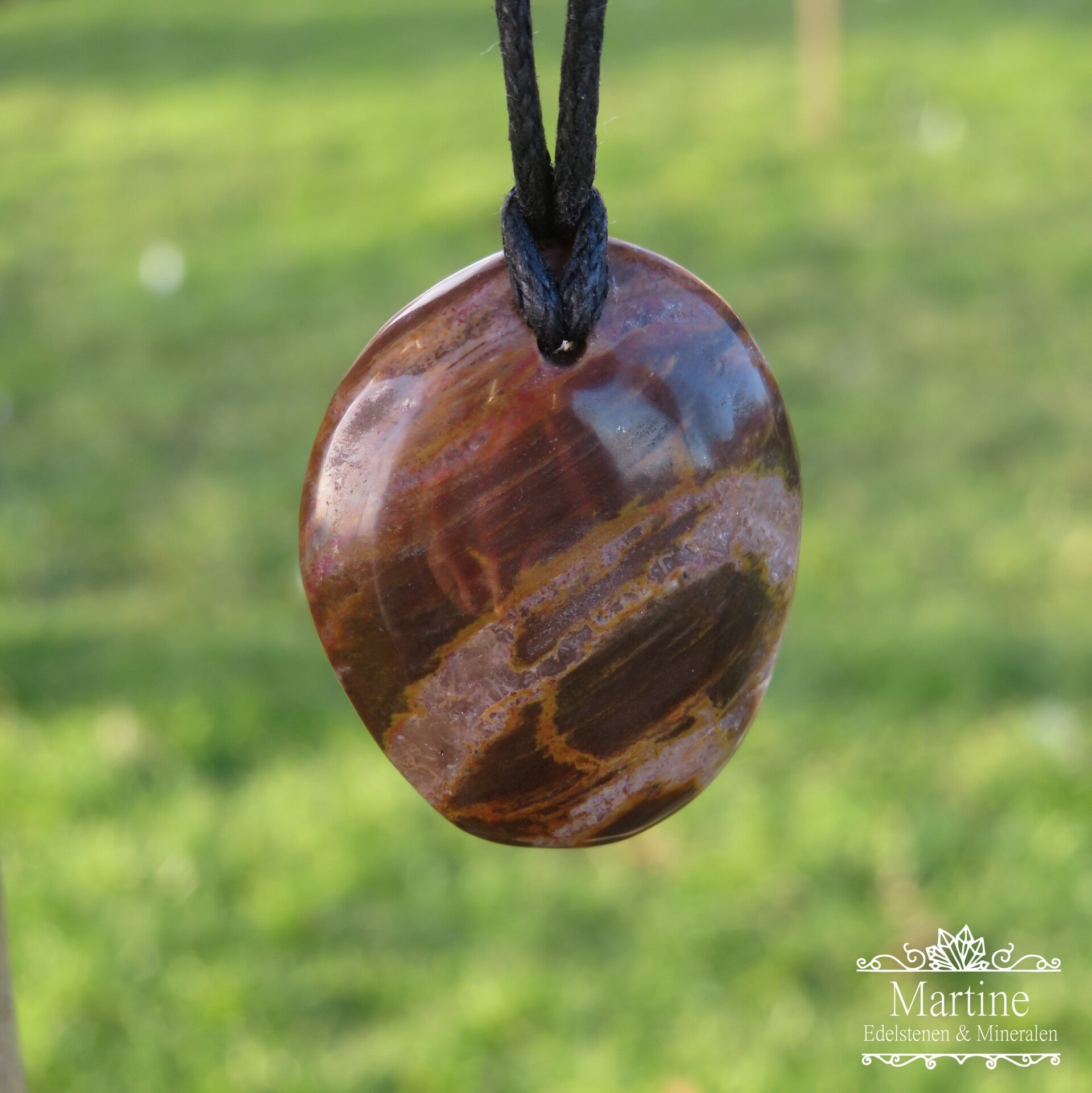 Versteend hout hanger.