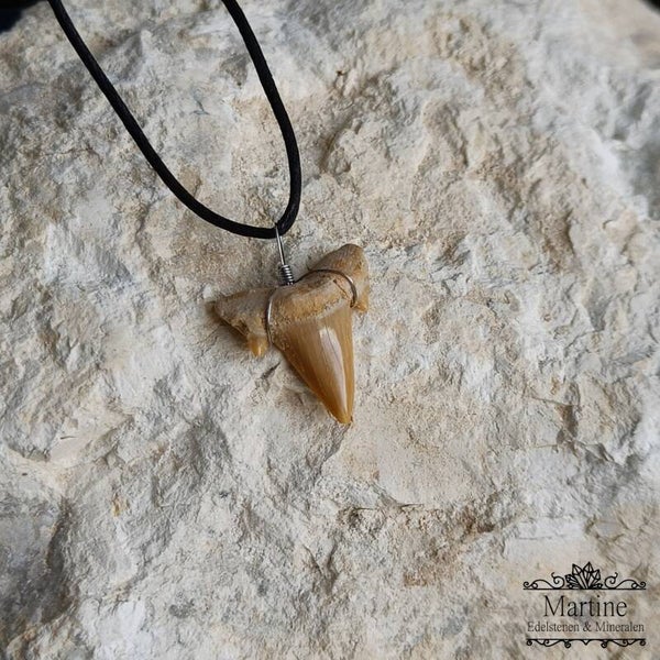 Fossiele haaientand hanger