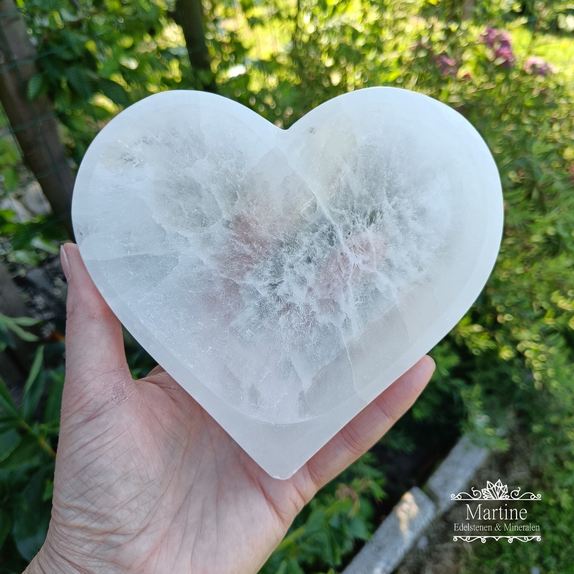 Seleniet schaal hart groot