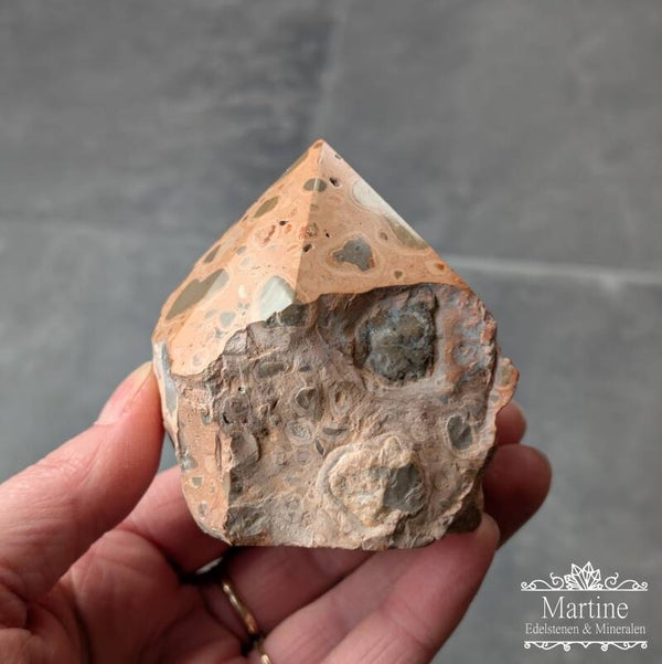 Leopardiet – Kalkooliet (oncoliet) punt.