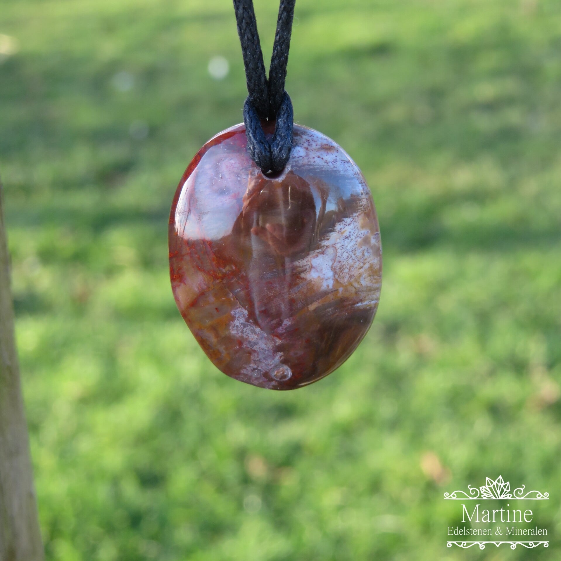 Versteend hout hanger.