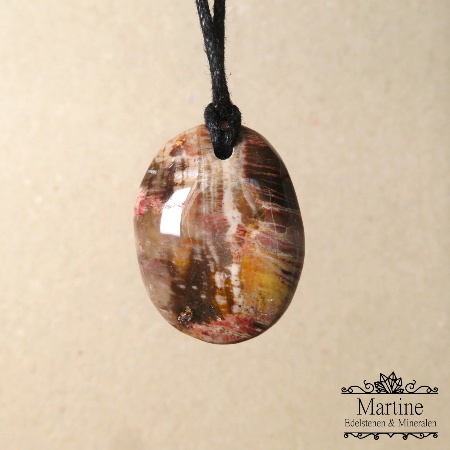 Versteend hout amulet hanger.