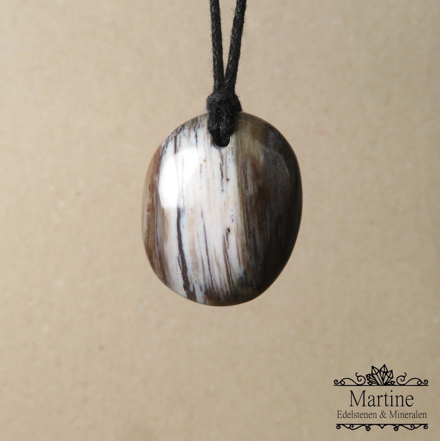 Versteend hout amulet hanger.