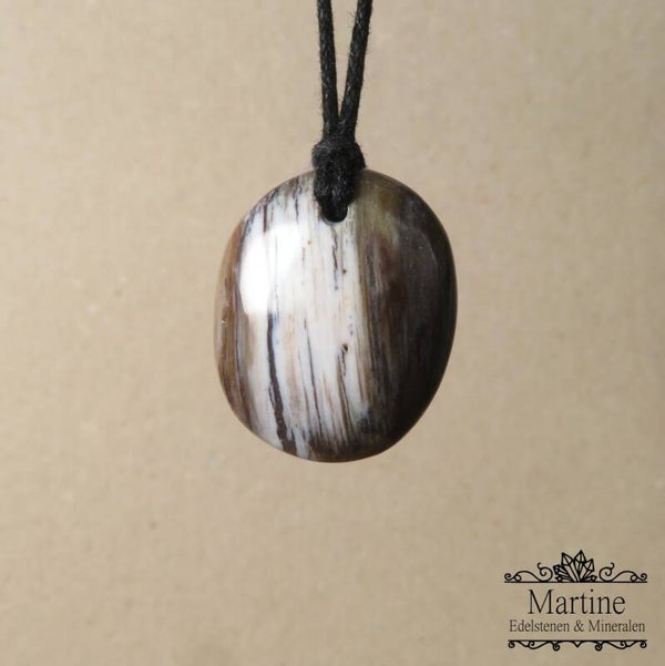 Versteend hout amulet hanger.