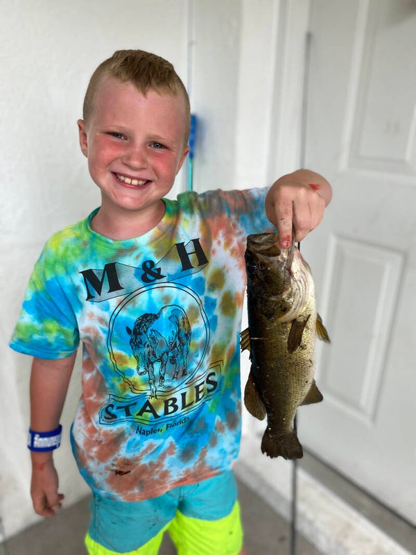 Big Bass Deal (5 Lures for $20)