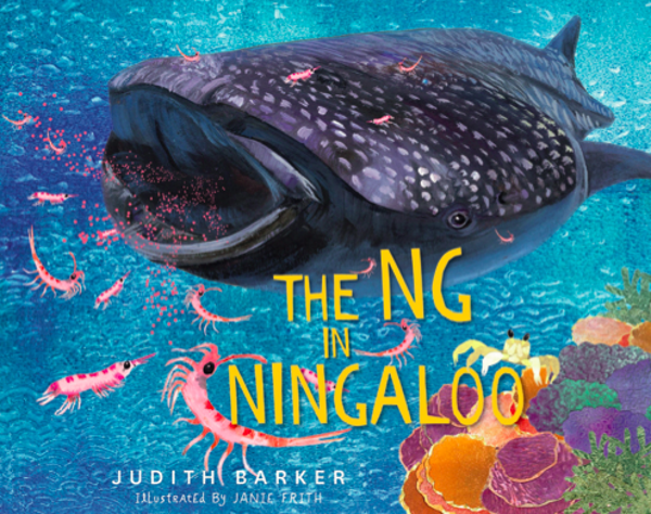 The NG in Ningaloo
