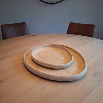 Organic Tray Resin | M