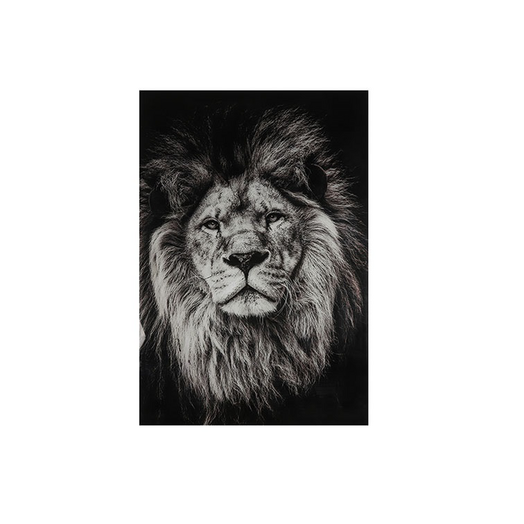 Glasschilderij Leeuw - zwart wit