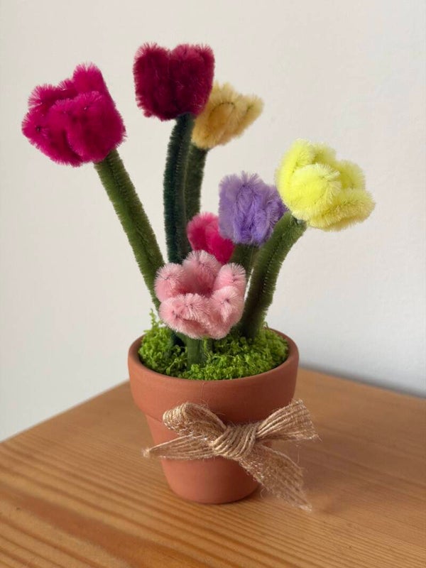 Terracotta pot collection