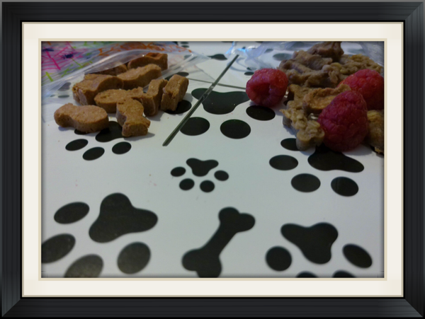 🐾 Mini Munchies: Bite-Sized Dog Treats 🐾