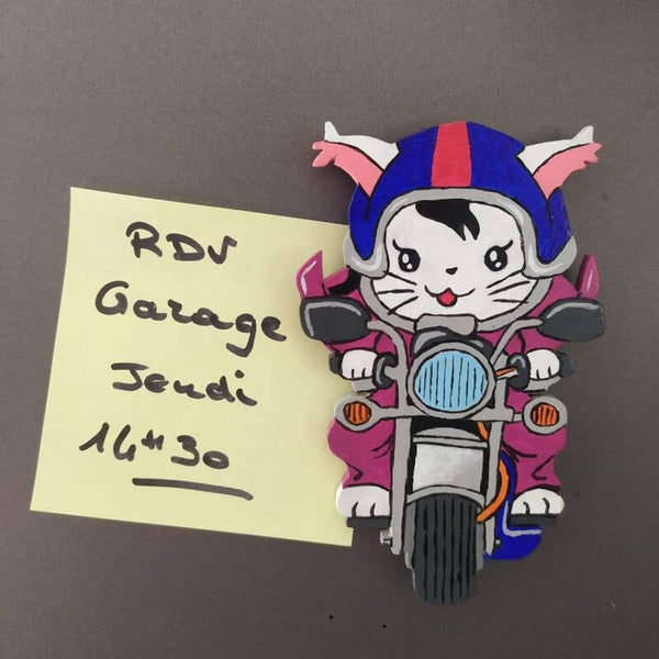 Chat motard