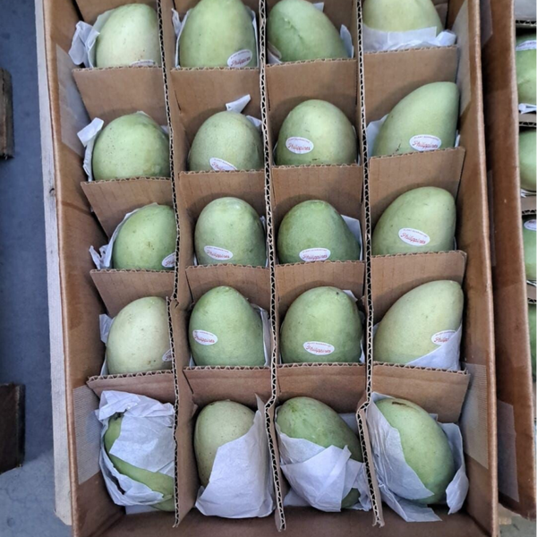 Philippines Sweet Mangga | 1kg (4pcs)