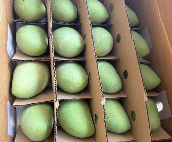 Zambales Mangga | €25 per kg