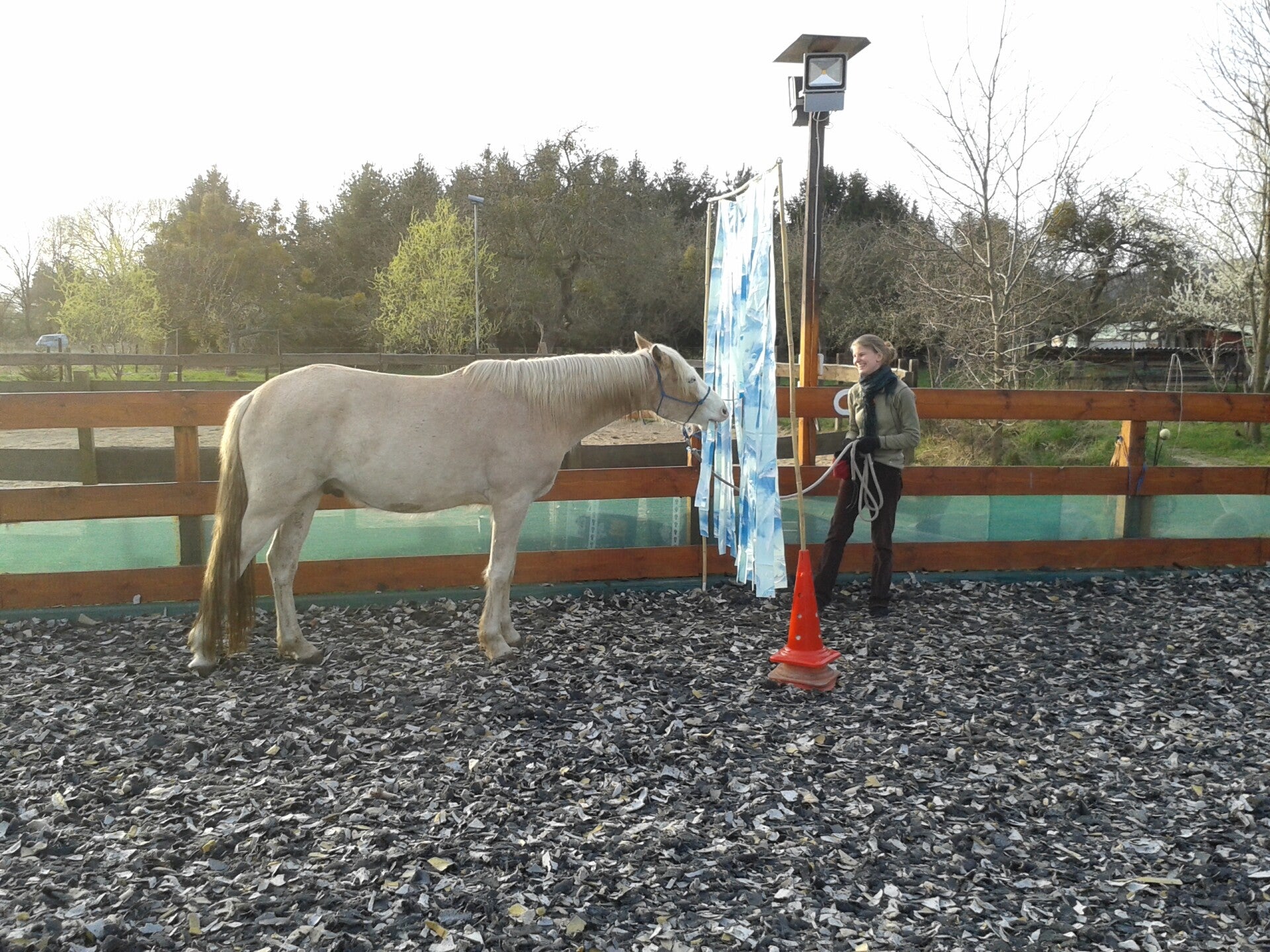 Anti-Schreck-Training mit Flattervorhang