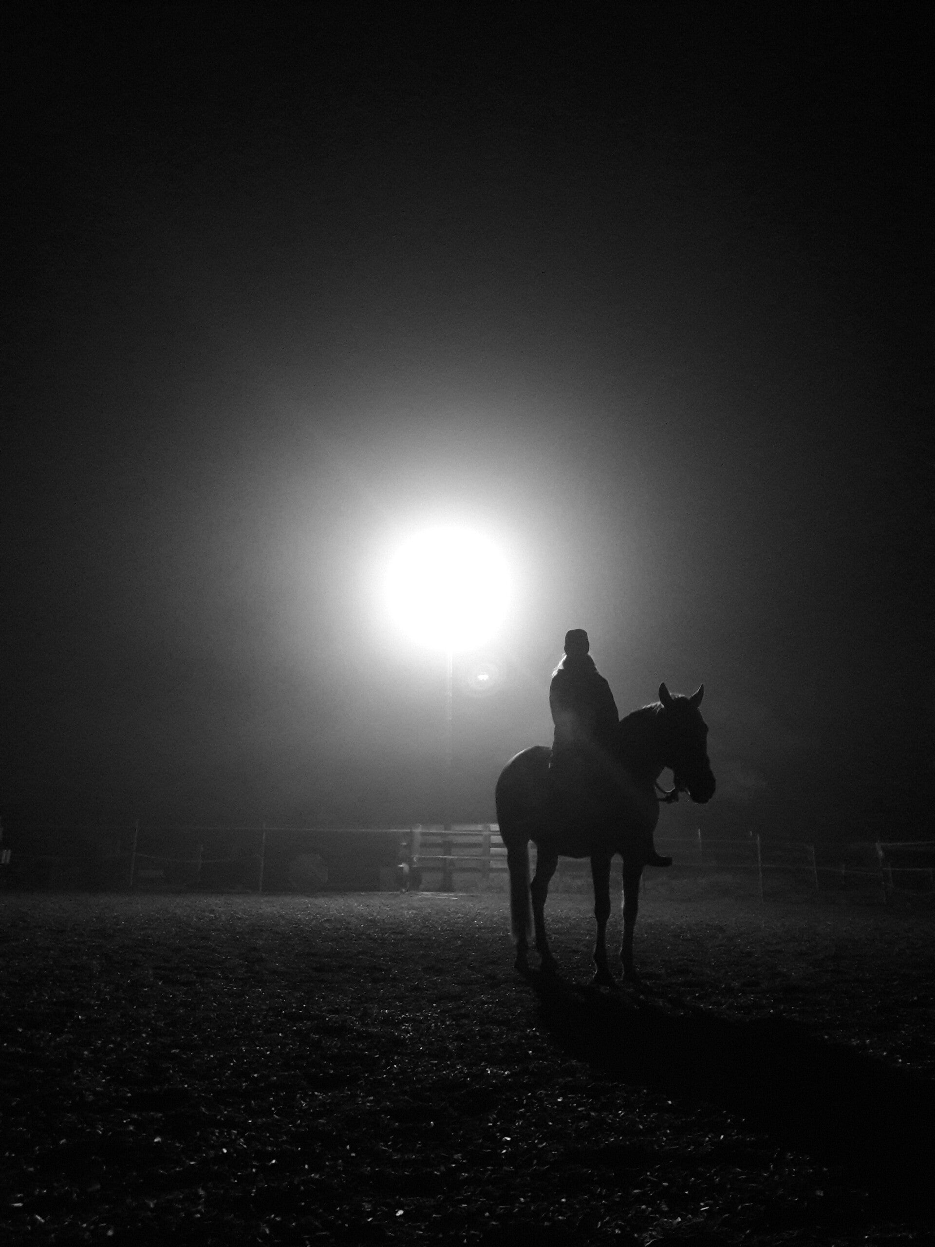 Reiter auf Pferd im Dunkeln