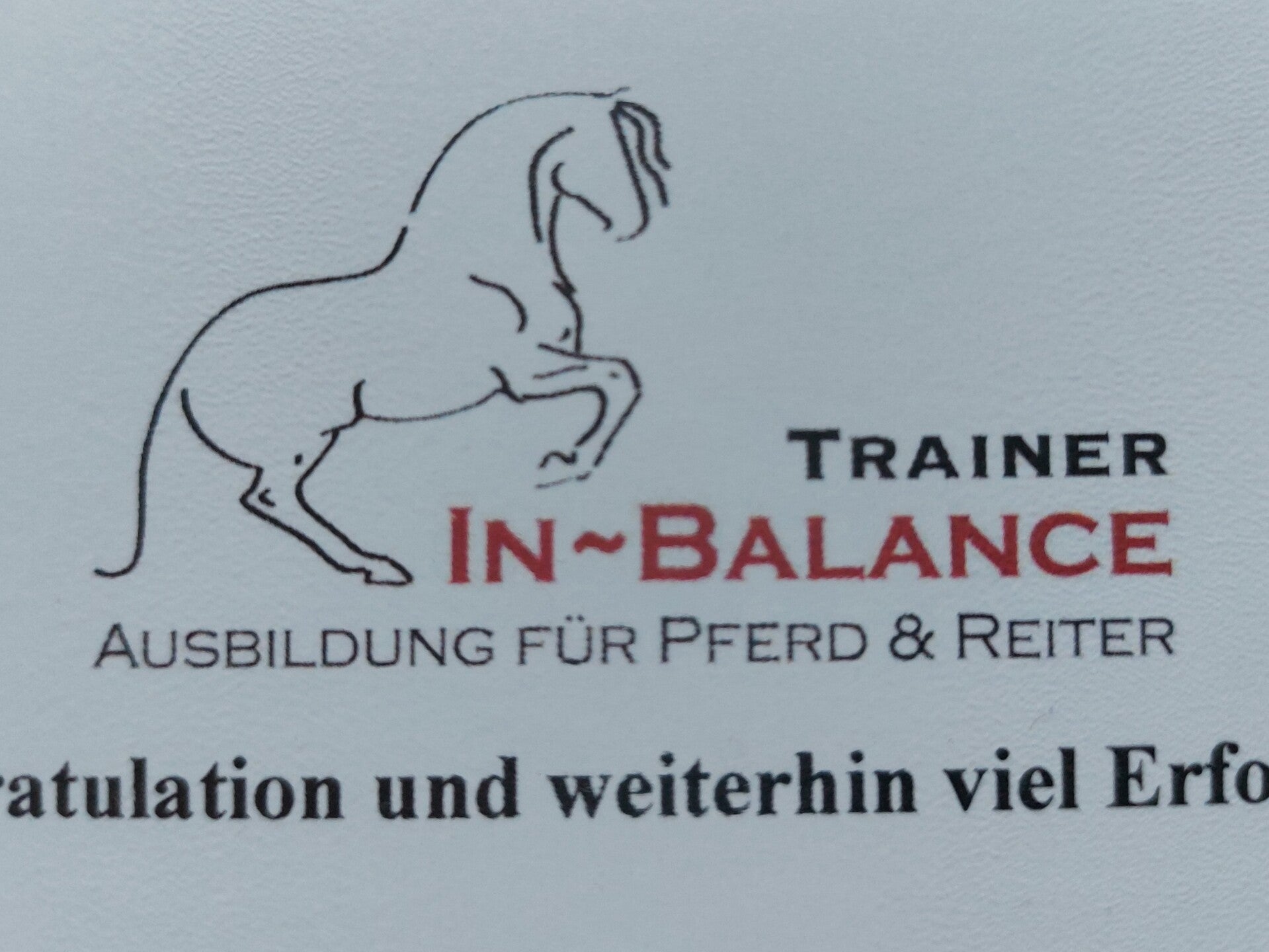 Logo von der Ausbildung zum Pferdetrainer in Balance