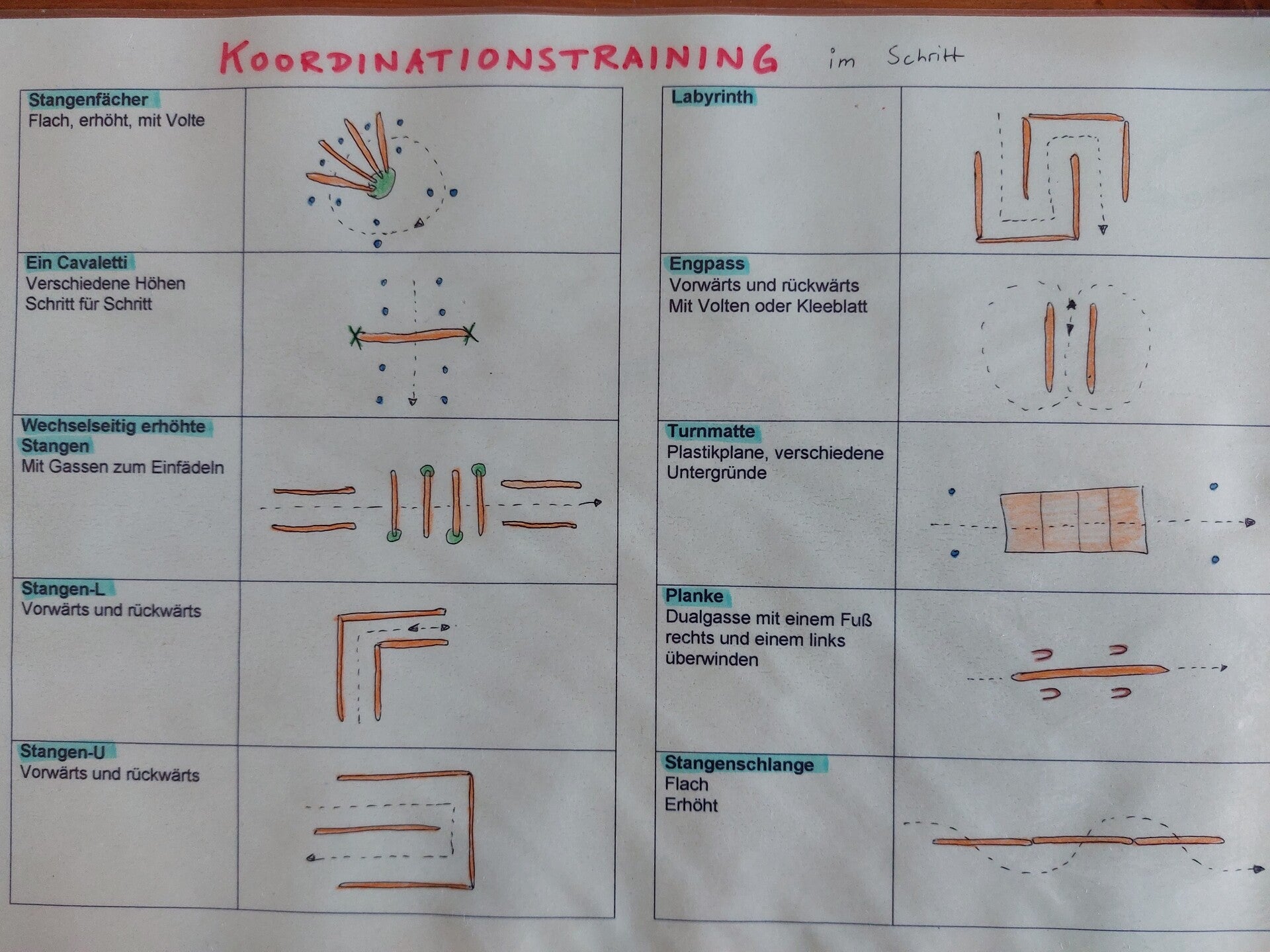 Übersicht über verschiedene Koordinationsübungen u.a. nach Linda Tellington Jones