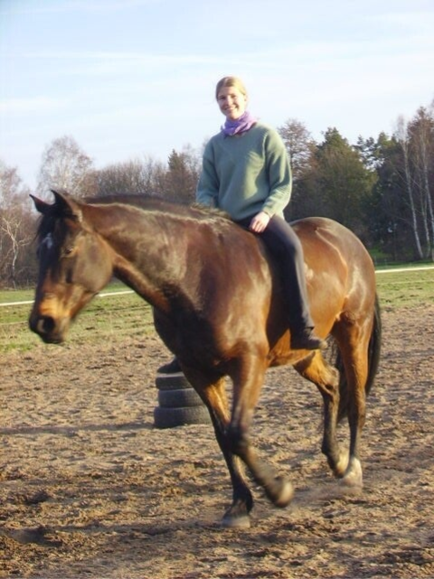 Pferdetrainerin reitet Trab ohne Sattel und Zaumzeug
