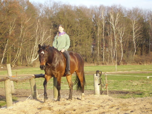 Pferdetrainerin reitet ohne Stellung und Biegung gebisslos ohne Zaumzeug