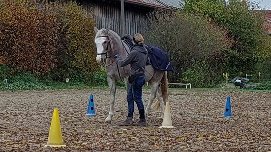 Klassische Handarbeit in der Lektion Übertreten