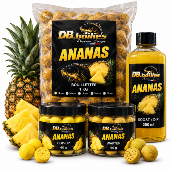 🍍 PACK DÉCOUVERTE ananas